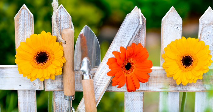 Creatively design your fence