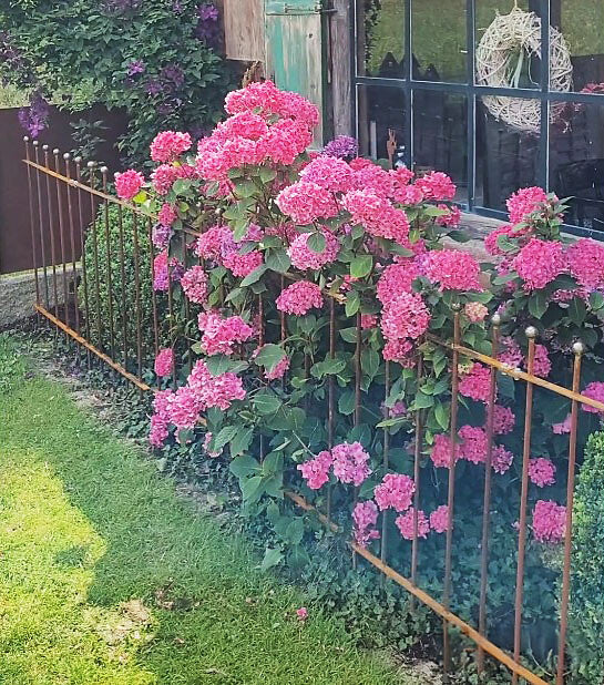 Steckzaun Ancona in unbeschichtet in einem Beet mit pinken Blumen