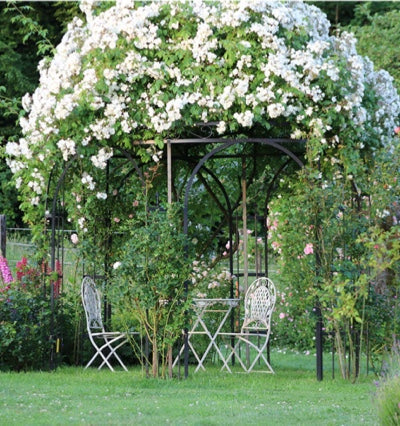 mit weißen Blüten berankter Pavillon